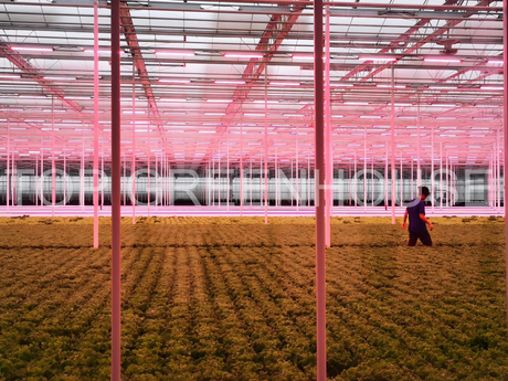smart greenhouse 6_2207_1655.jpg