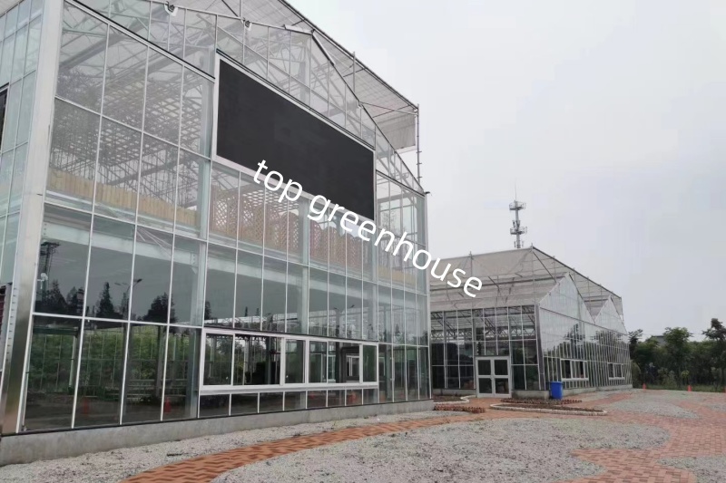 high efficiency Venlo greenhouse