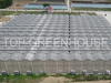 Durable Polycarbonate Greenhouse with UV Protection