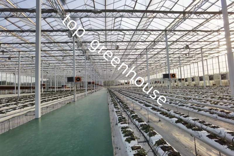 glass greenhouse