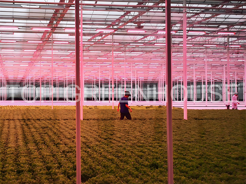 5-Artificial-Light-System