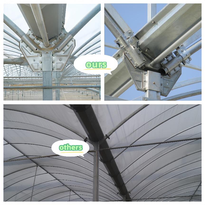 greenhouse special component (2)