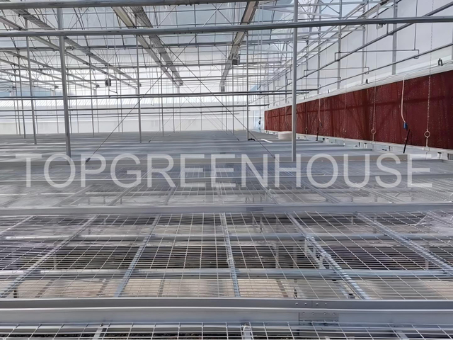 Plastic PO Film Greenhouse