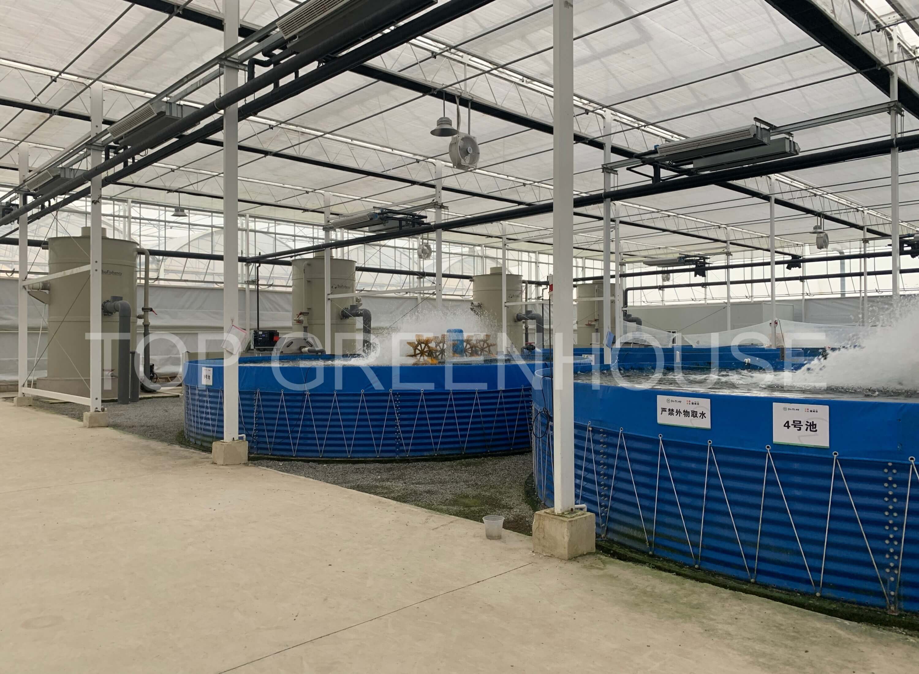 Aquaponics Greenhouse