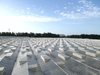 Venlo Glass Greenhouse