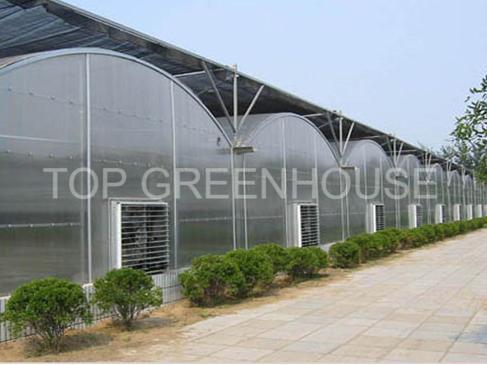 Polycarbonate Greenhouse