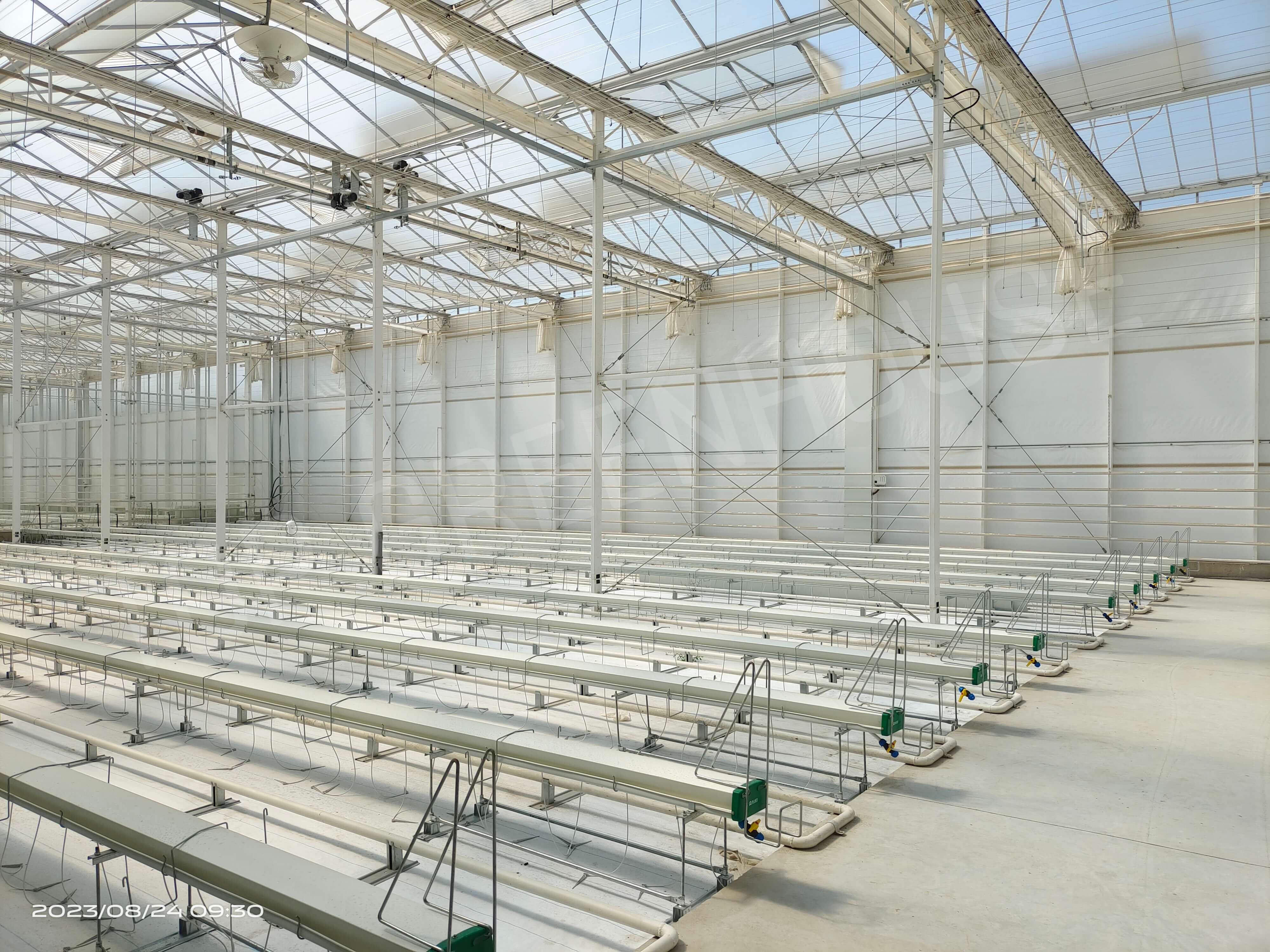 plastic film greenhouse