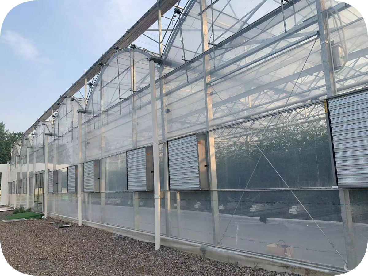 Gutter Connected Greenhouse