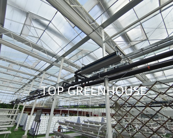 inside aluminum shading net 