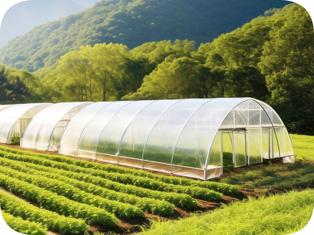 freestanding greenhouse