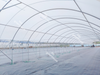 Greenhouse Plastic Film for Covering System