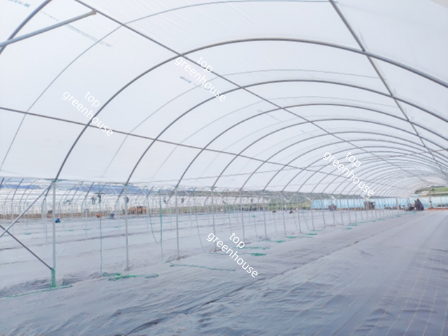 Greenhouse Plastic Film for Covering System