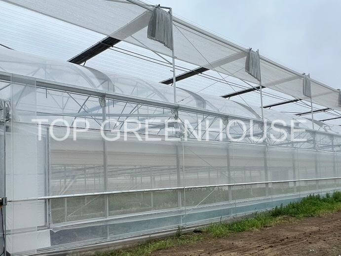 High Breathability White Shade Netting For Glass Greenhouse