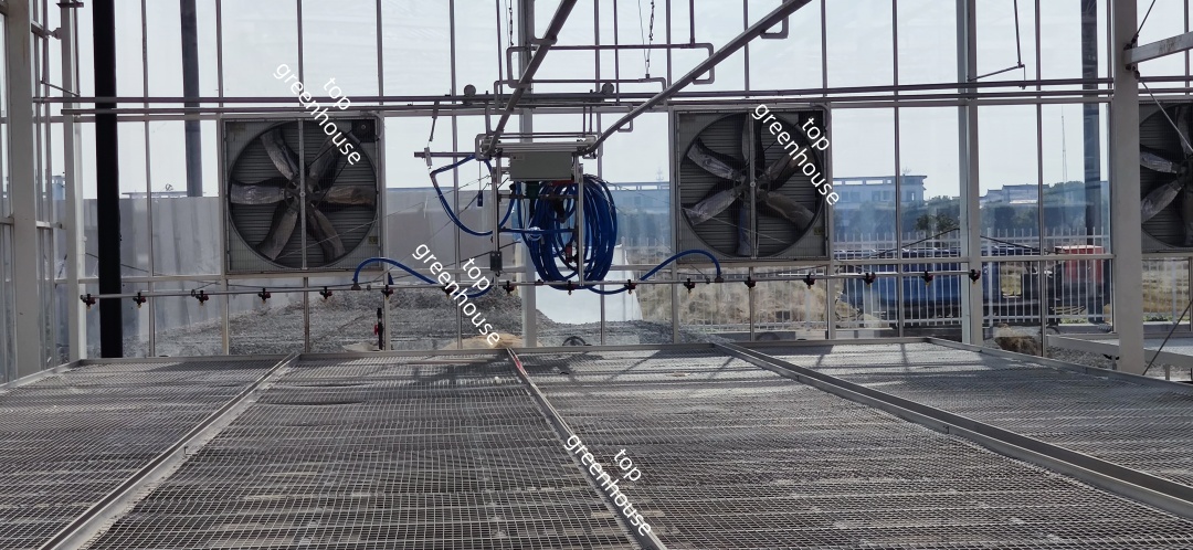 Greenhouse Cooling System Cooling Pad And Exhaust Fan