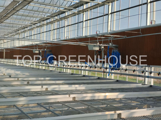 Greenhouse Rolling Bench Agriculture Seedbed