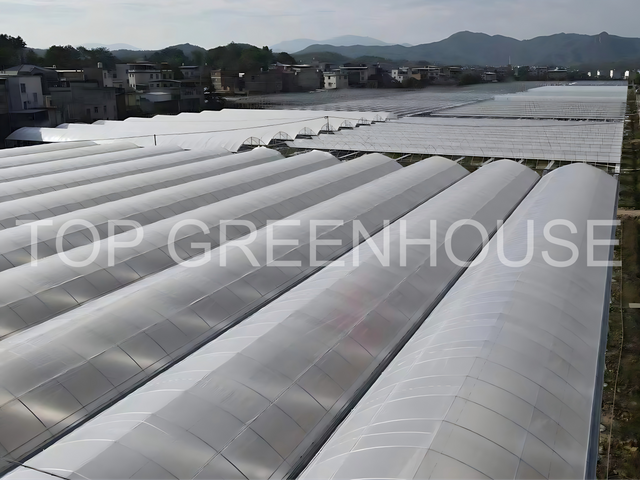Plastic Greenhouse with PO Film