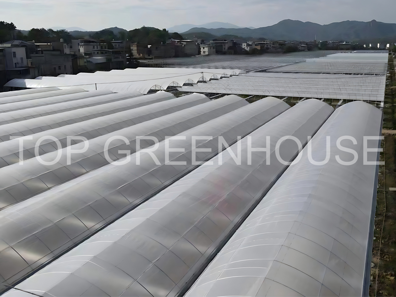 Plastic Greenhouse with PO Film