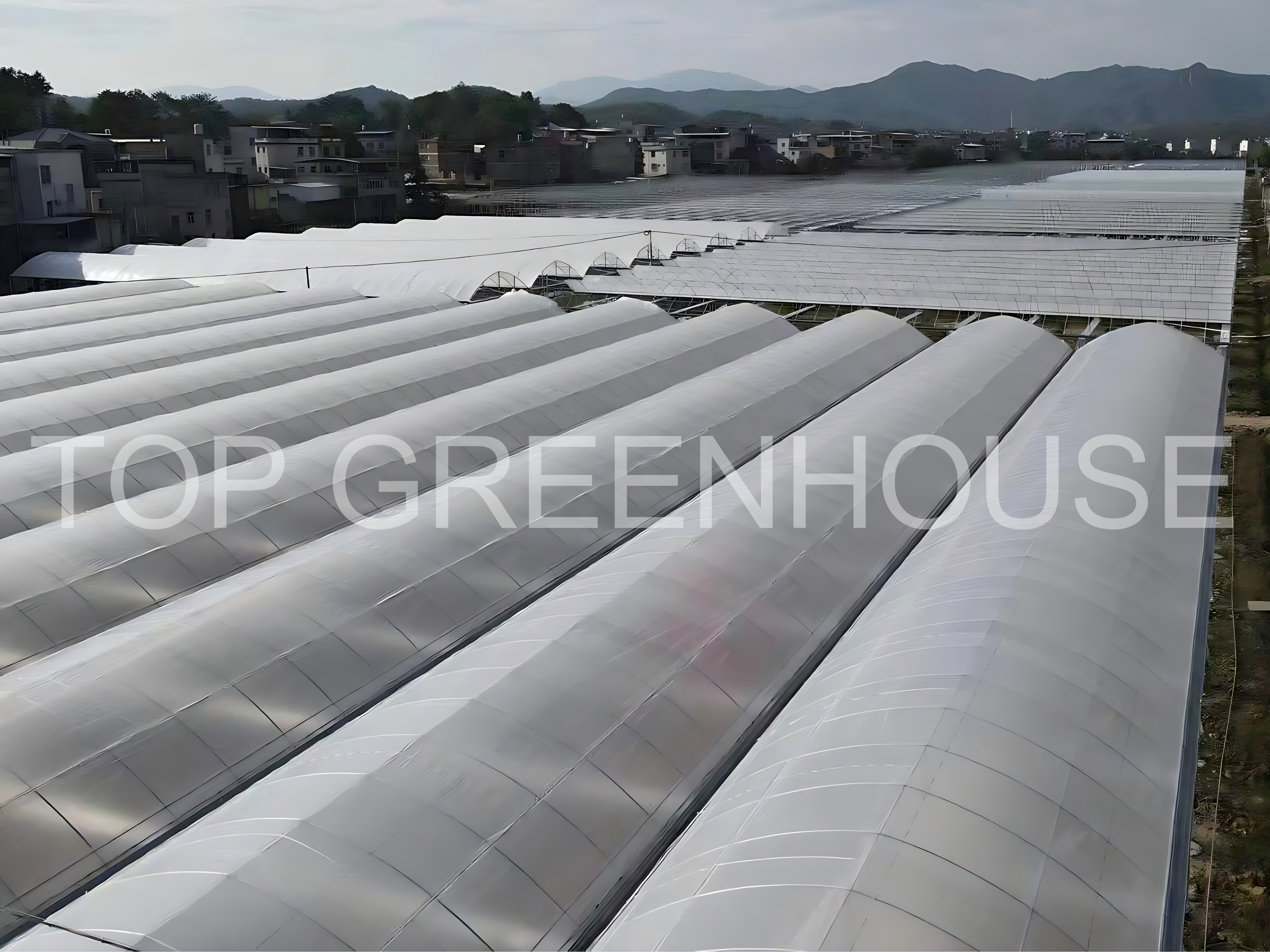 Plastic Film Greenhouse for Affordable And Efficient Crop Cultivation