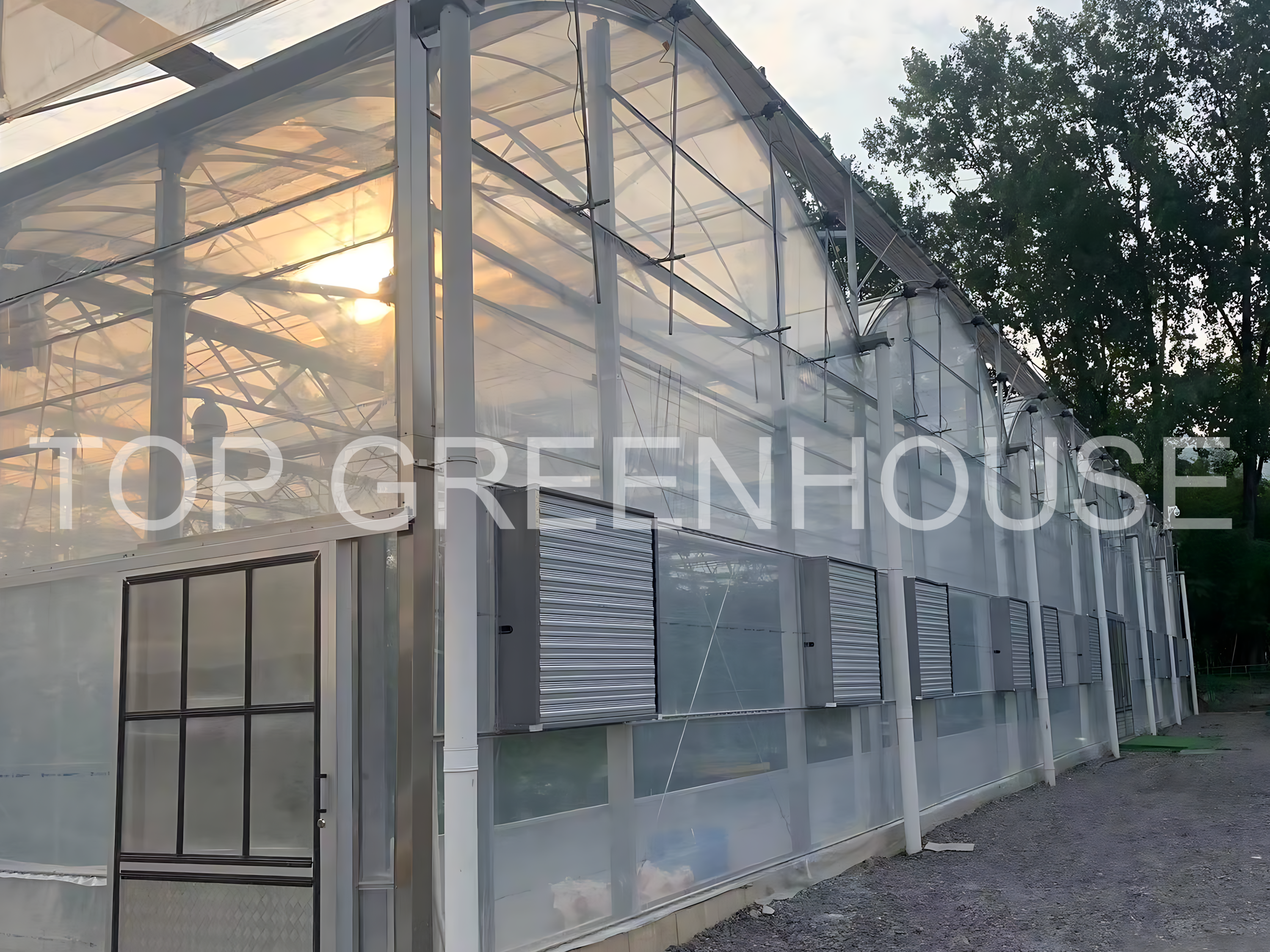 Poly Film Greenhouse