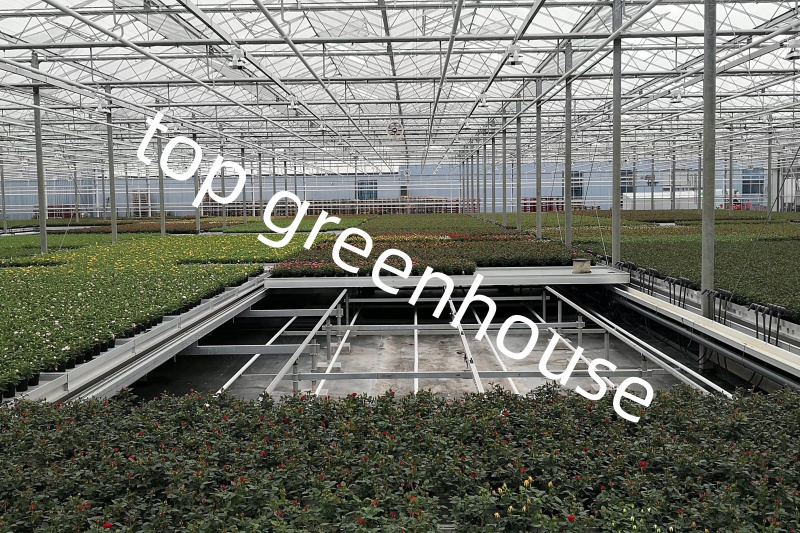 Commercial Glass Greenhouse Building Cost
