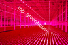 high tech greenhouse 