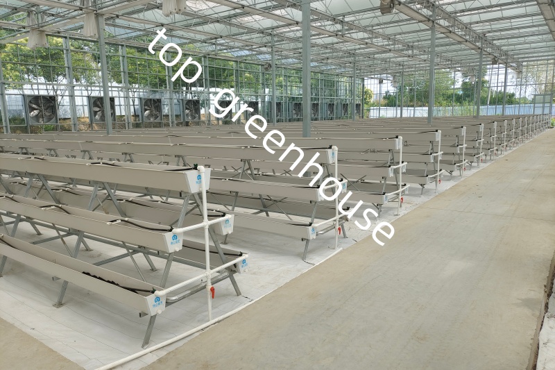 Commercial Greenhouse 
