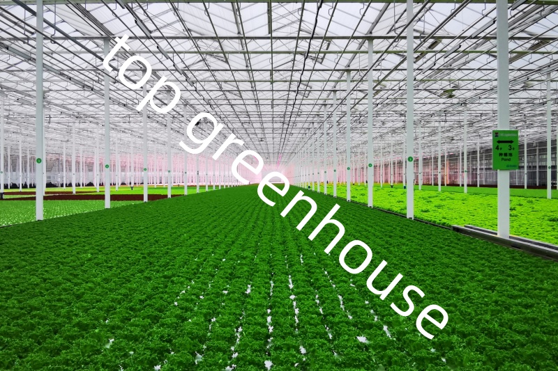 high tech greenhouse 
