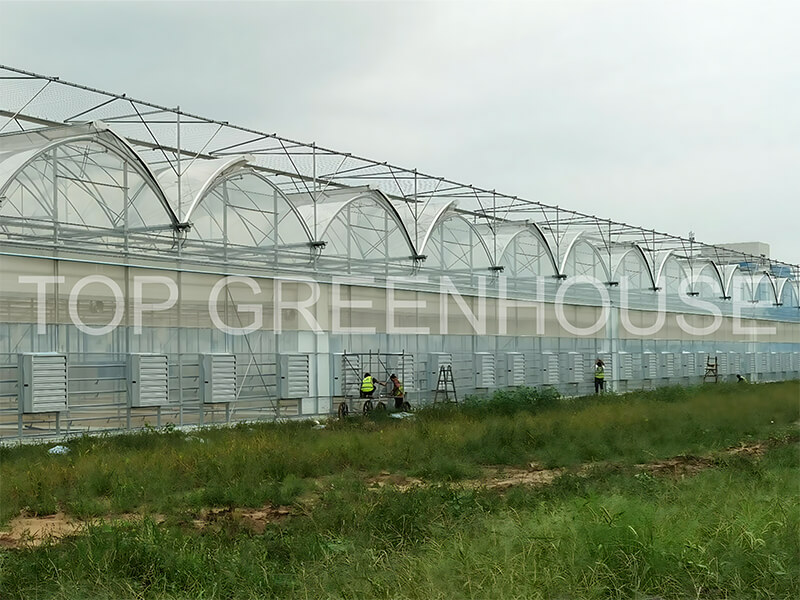 greenhouse ventilation system