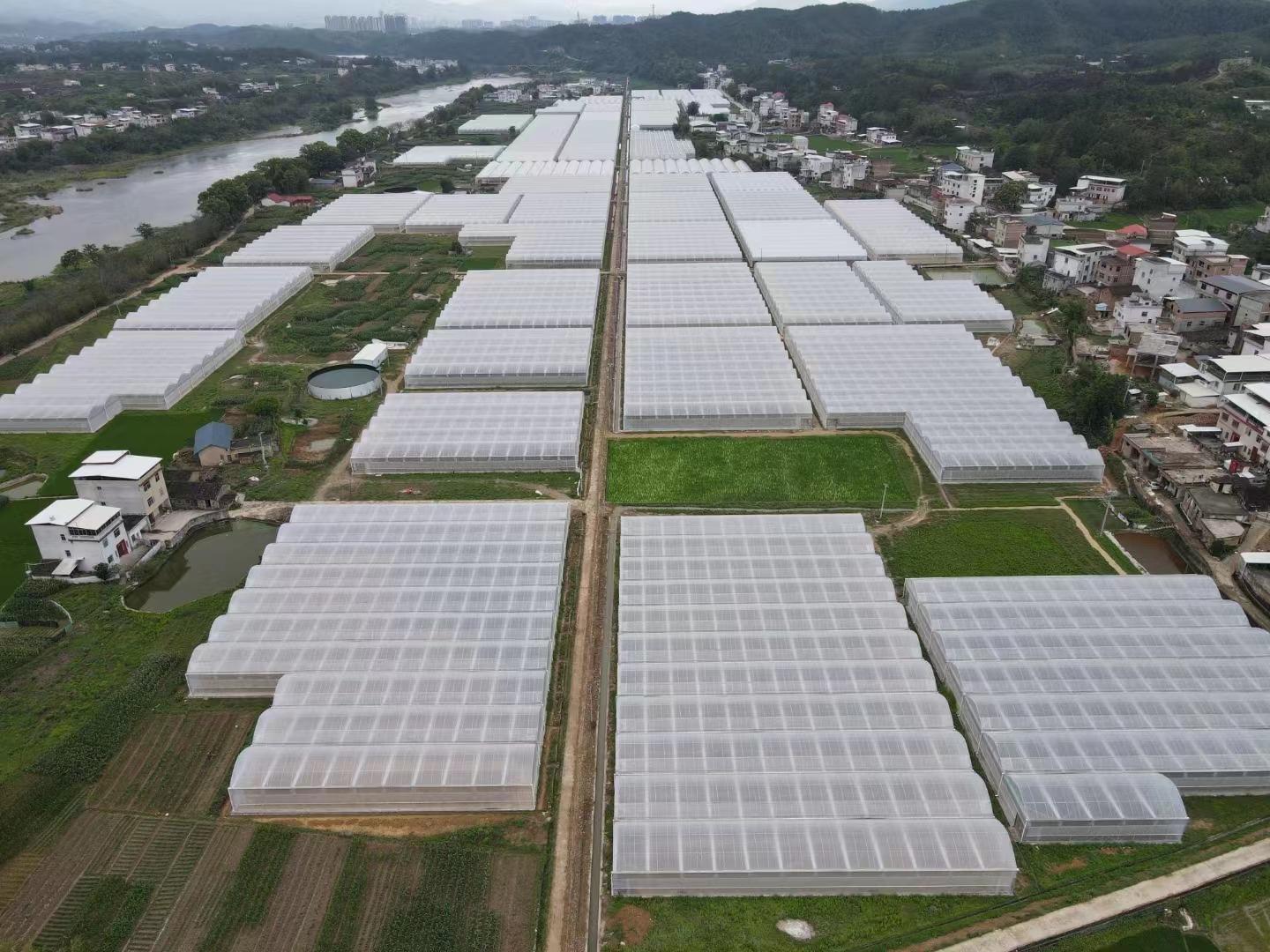 large scale greenhouse