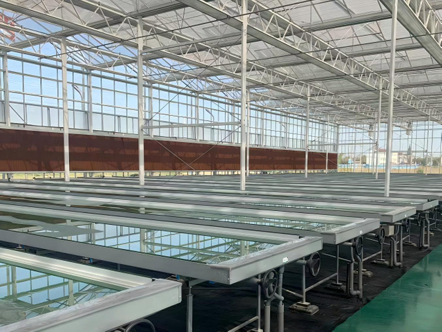 Advanced Multi-Span Glass Greenhouse for Professional Agriculture