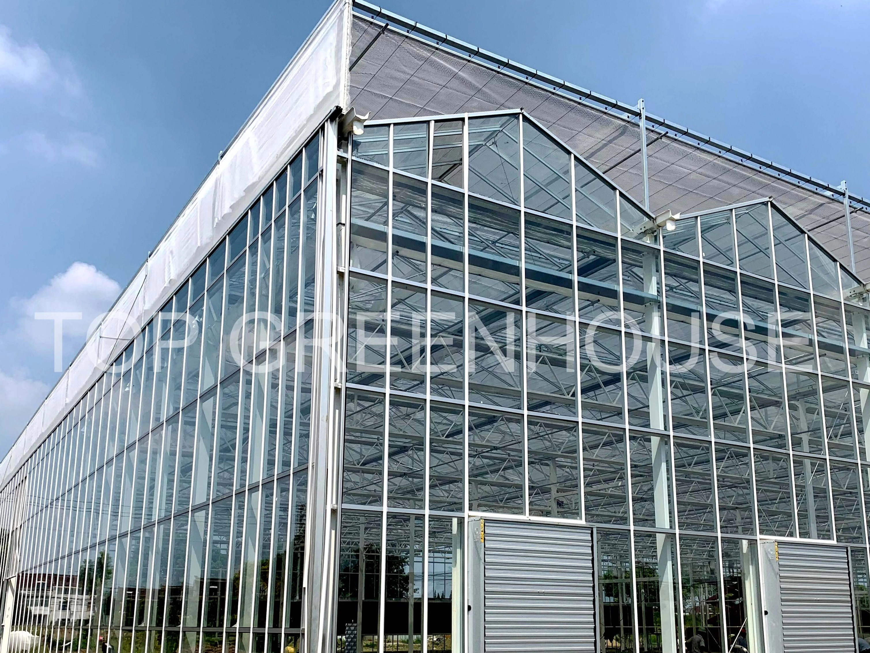 Climate Screens in Smart Greenhouses
