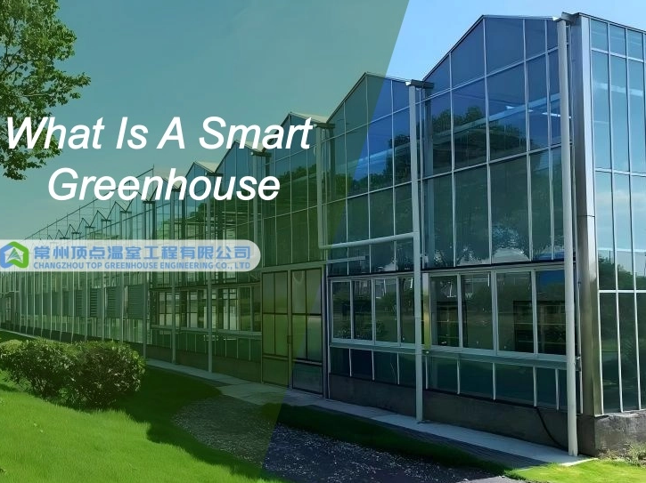What Is a Smart Greenhouse? 