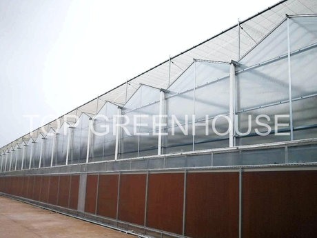 Clear Polycarbonate Greenhouse
