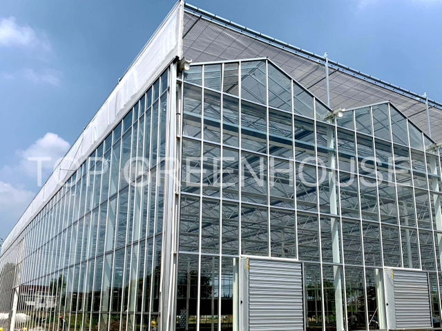 Greenhouse Shading Net