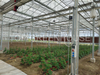 Greenhouse Shade Netting