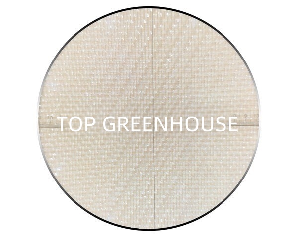 window insect net