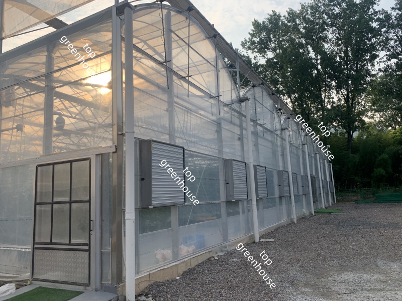 Greenhouse Exhaust Fan for Cooling System
