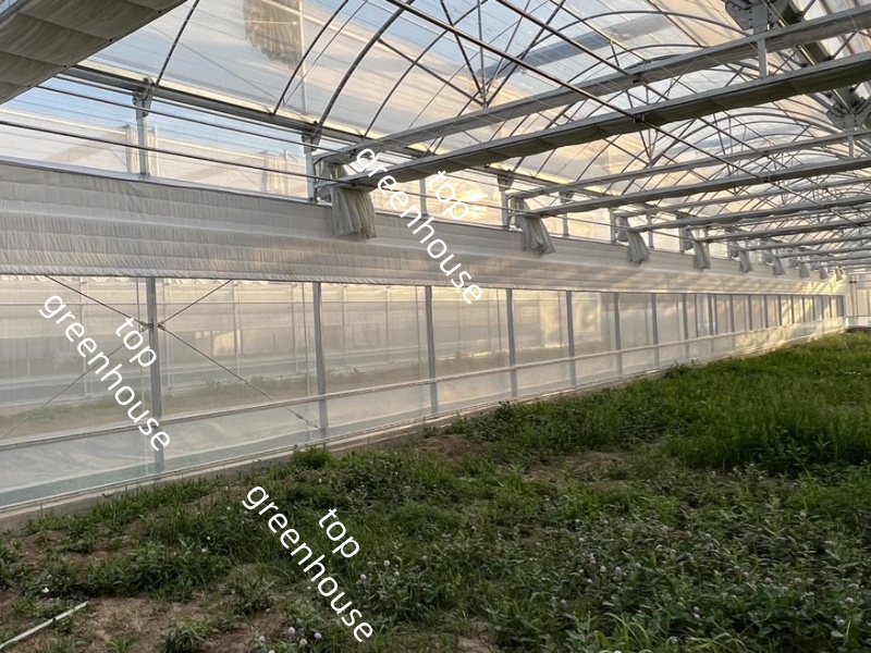 greenhouse electric film reeler