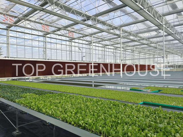 Flood Bench with Drain for Hydroponic Greenhouse