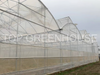 Plastic Film Greenhouse for Affordable And Efficient Crop Cultivation