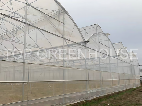 plastic greenhouse 16.png