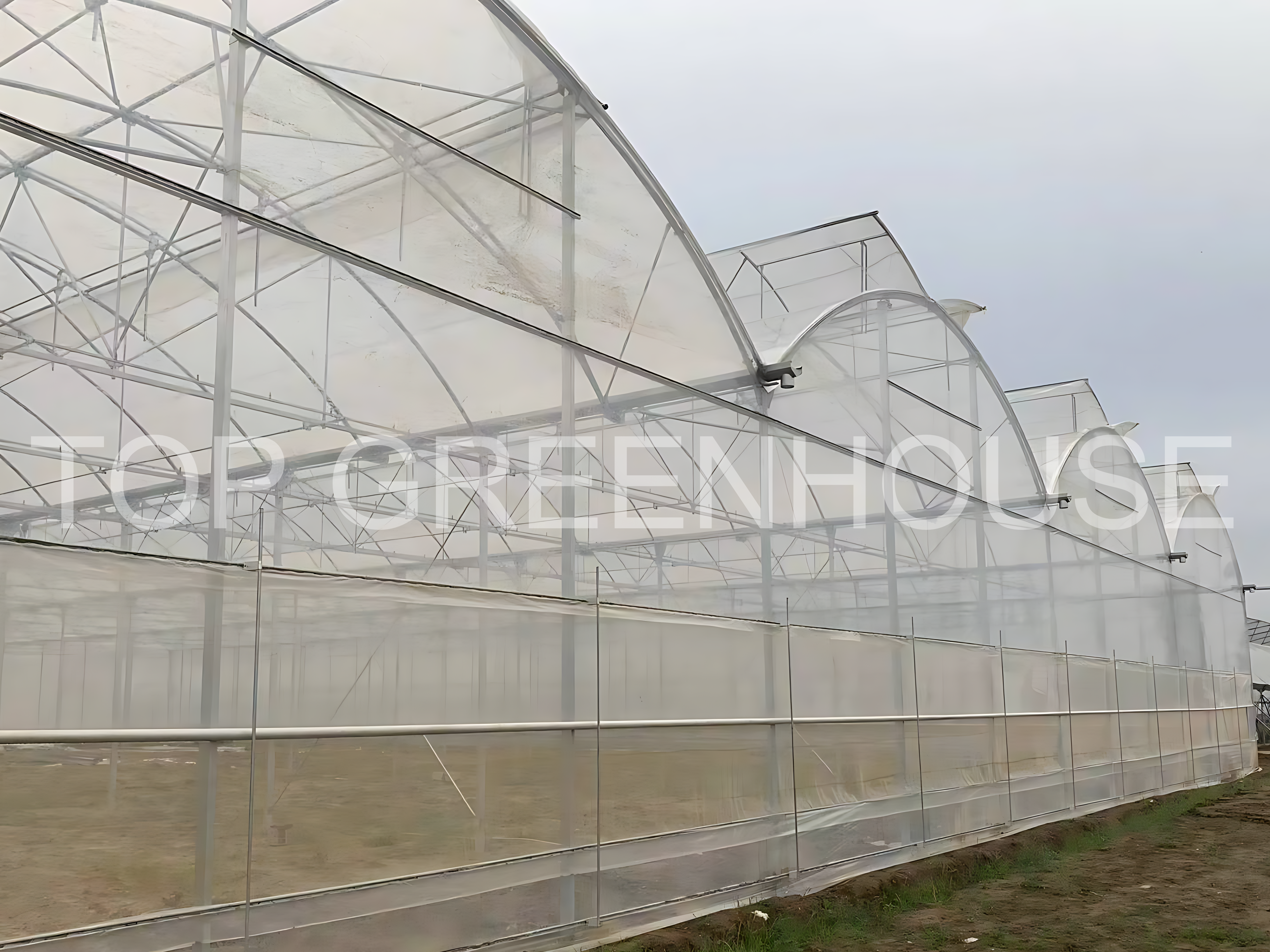 Plastic Film Greenhouse for Affordable And Efficient Crop Cultivation