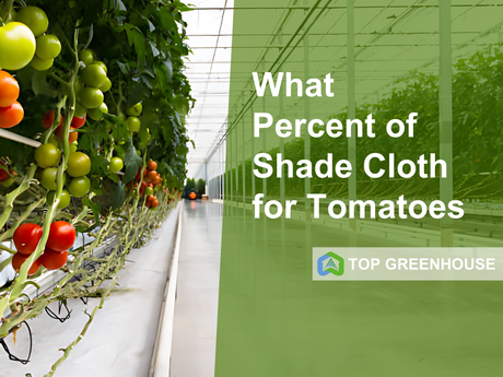 Tomato Shade Cloth_2155_1616_1933_1449.png
