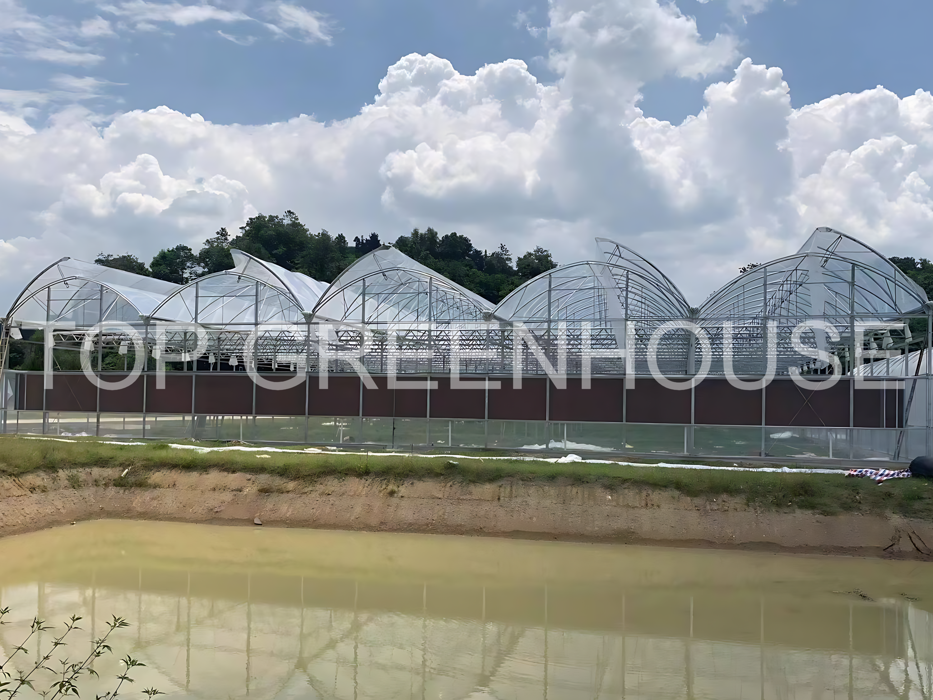 Poly Tunnel Greenhouse