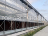 Multispan Poly Tunnel Greenhouse