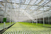 automated greenhouse