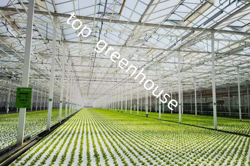 high tech glass greenhouse