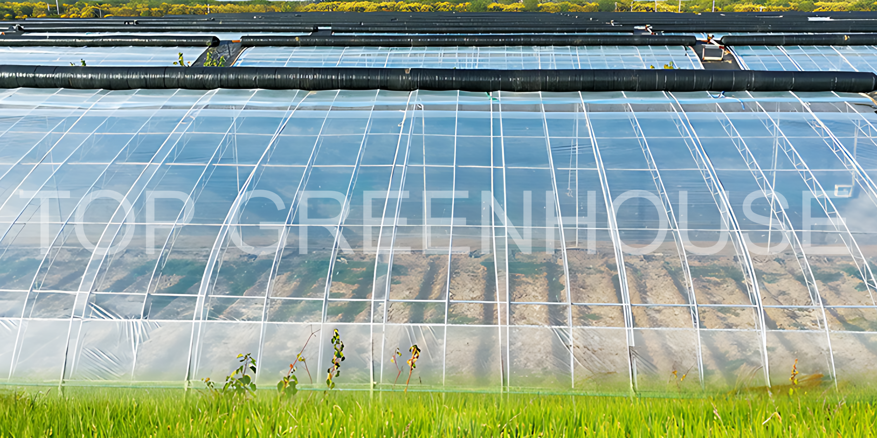 Plastic Greenhouse