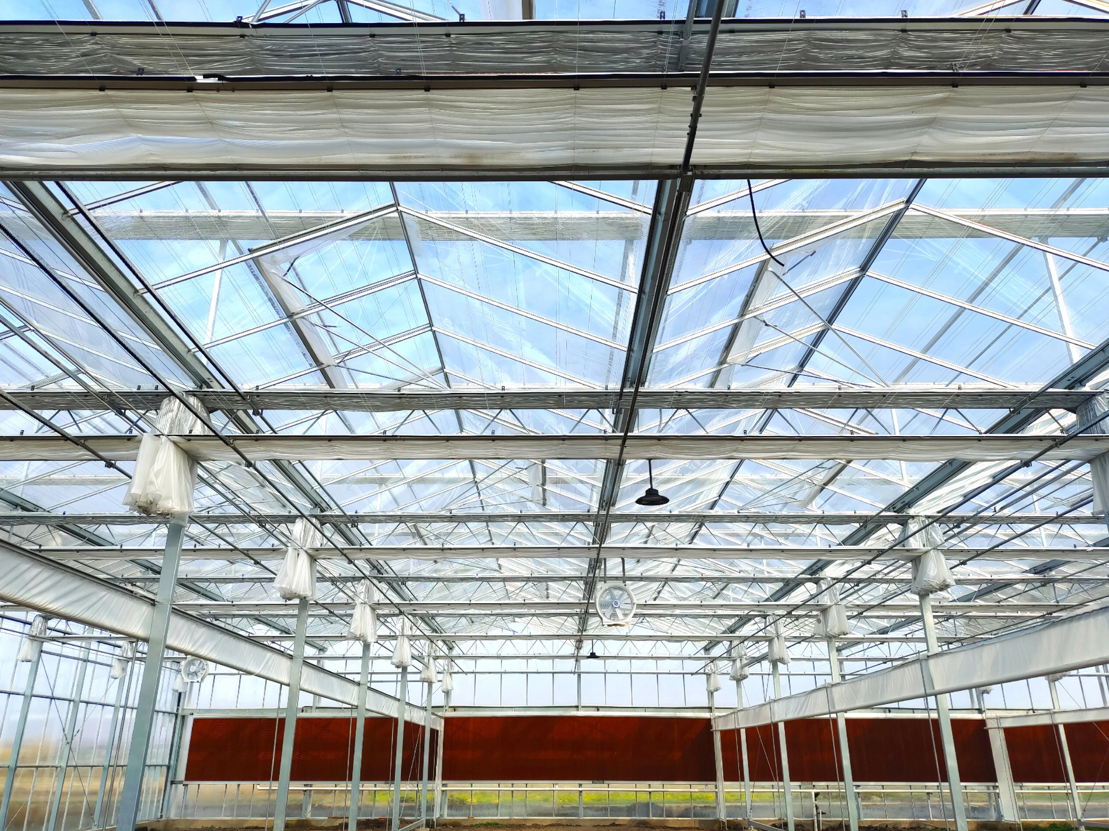 Greenhouse Climate Screen Types & Uses — Internal vs External Solutions