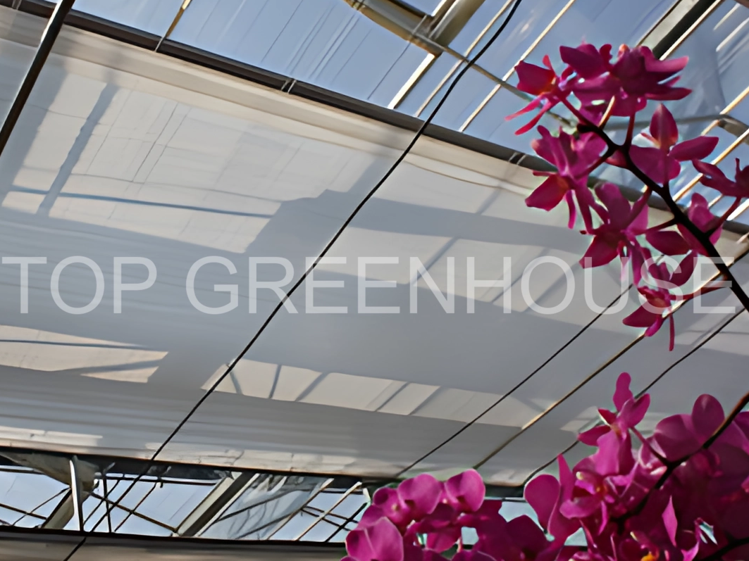 Do You Know How Important Climate Screens Are for Greenhouse Growing?